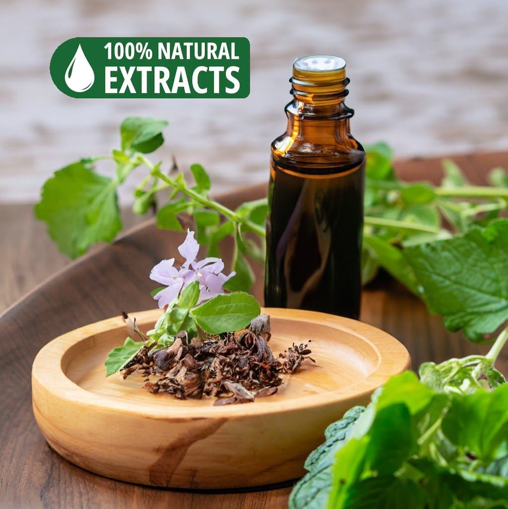 Bless-International Patchouli-100%-Natural-Incense-Bambooless-Dhoop-Sticks Handmade-Organic-Chemicals-Free for-Purification-Relaxation-Positivity-Yoga-Meditation The-Best-scents-4.5-Inches-60-Sticks - Image 6